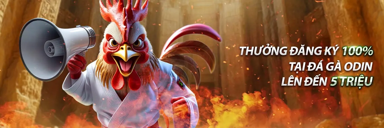 Hướng dẫn cá cược thể thao chuyên sâu tại qc6672