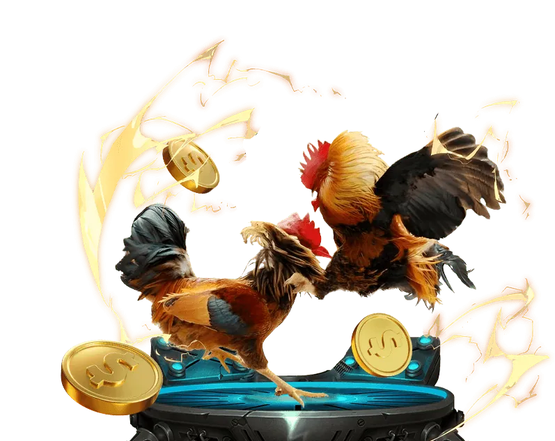 Bộ bài Baccarat và quy tắc tính điểm